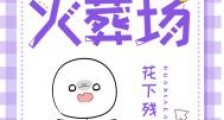 进冷宫后皇帝火葬场了