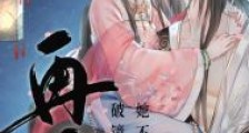 再嫁