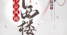 汴京风雨下西楼