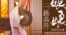 贵妃娘娘一路高升