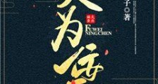 夫为佞臣