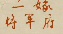 二嫁将军府