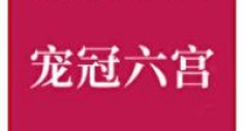 细腰美人宠冠六宫
