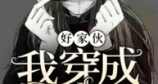 好家伙,我穿成男主了!
