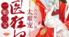 一胎三宝:神医狂妃,太难宠
