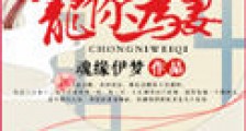 宠你为妻
