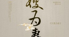 长嫂为妻