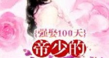 强娶100天:帝少的小娇妻
