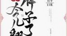 皇上今儿翻牌子了吗