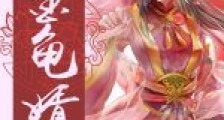 极品大明金龟婿