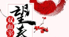 望春风:双面宰相
