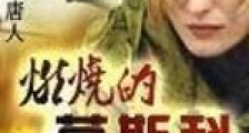 燃烧的莫斯科