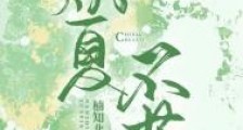 炽夏不落