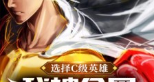 选择C级英雄,我被全网嘲笑三年
