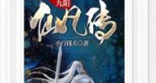 九阳仙凡传