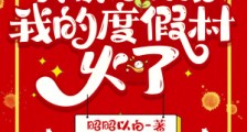 负债百万后,我的度假村火了