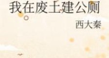 我在废土建公厕