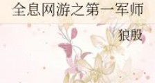 全息网游之第一军师