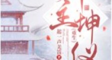 郡主坤仪(重生)
