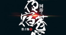 网游之夜宿苍穹