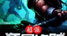 超强狂暴盗贼