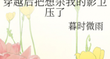 穿越后把想杀我的影卫压了