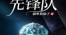 刑侦先锋队