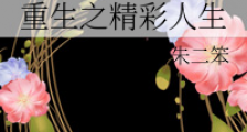 重生之精彩人生