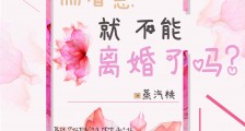 揣着崽就不能离婚吗?(重生)