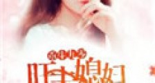 重生九零:旺夫媳妇火辣辣