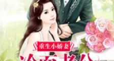 重生小娇妻:冷面老公肆意宠