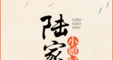 陆家小媳妇