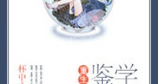 重生之鉴宝学霸