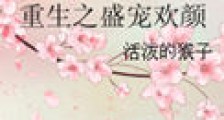 重生之盛宠欢颜