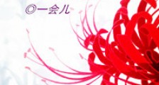 女主是学霸重生