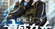 卧底十二年:竟成九大势力之王笔趣阁版