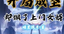 开局成圣却做了上门女婿笔趣阁版