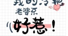 我的冷艳老婆不好惹2024新版