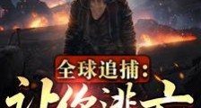 全球追捕:让你逃亡,你咋还破案2024新版