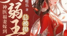 神医福妻嫁到,病弱王爷总被撩2024新版
