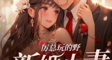 厉总玩的野,新婚小妻遭不住2024新版