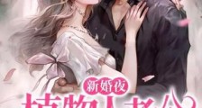 新婚夜,植物人老公和我圆房了!2024新版