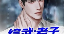 综武:老子天下第一
