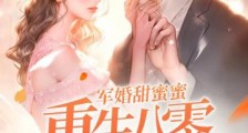 军婚甜蜜蜜,重生八零辣媳巧当家2024新版