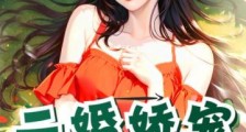 二婚娇宠:在他的指尖沉沦2024新版