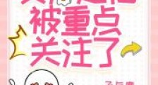 直播爆火资产过亿,被重点关注了2024新版