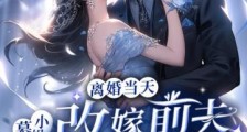 离婚当天,慕小姐改嫁前夫死对头2024新版