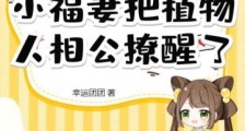 成亲日,小福妻把植物人相公撩醒了2024新版
