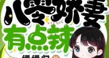 京少难追,八零娇妻有点辣2024新版
