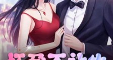 怀孕不让生,离婚你后悔了?2024新版